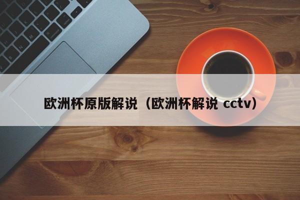 欧洲杯原版解说（欧洲杯解说 cctv）