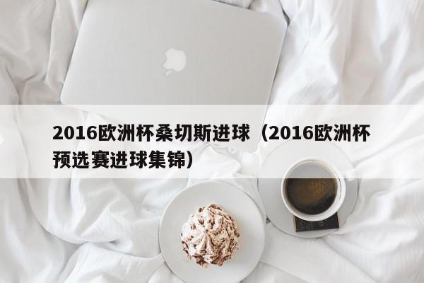 2016欧洲杯桑切斯进球（2016欧洲杯预选赛进球集锦）