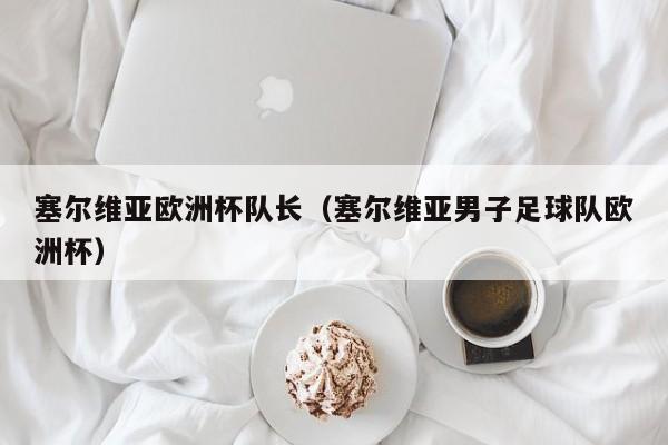 塞尔维亚欧洲杯队长（塞尔维亚男子足球队欧洲杯）