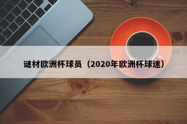 谜材欧洲杯球员（2020年欧洲杯球迷）