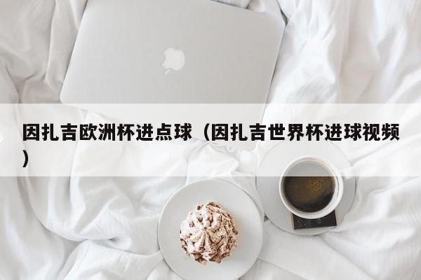 因扎吉欧洲杯进点球（因扎吉世界杯进球视频）