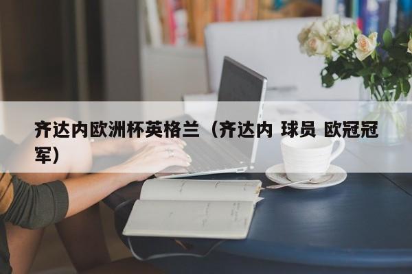 齐达内欧洲杯英格兰（齐达内 球员 欧冠冠军）