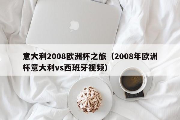 意大利2008欧洲杯之旅（2008年欧洲杯意大利vs西班牙视频）