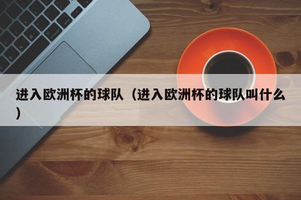 进入欧洲杯的球队（进入欧洲杯的球队叫什么）