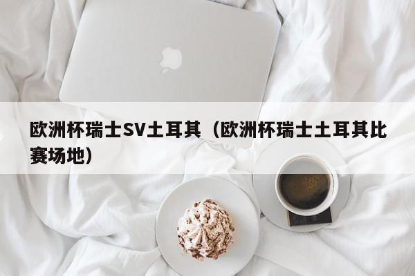 欧洲杯瑞士SV土耳其（欧洲杯瑞士土耳其比赛场地）