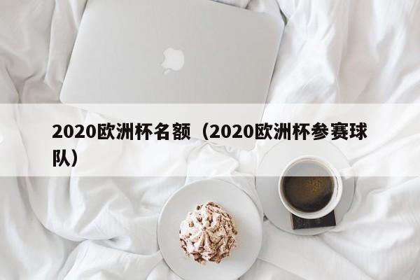 2020欧洲杯名额（2020欧洲杯参赛球队）