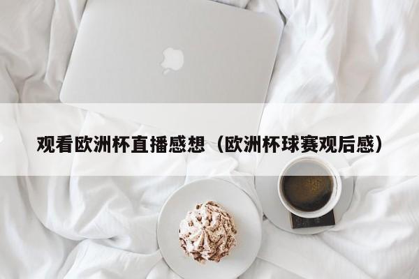 观看欧洲杯直播感想（欧洲杯球赛观后感）