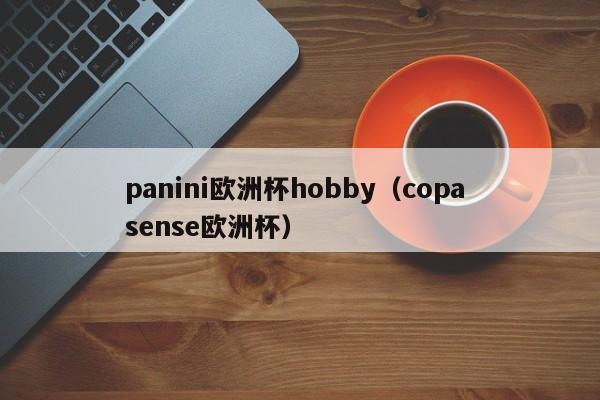 panini欧洲杯hobby（copa sense欧洲杯）