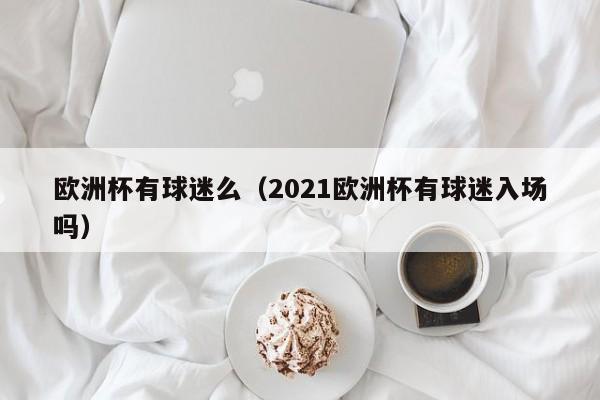 欧洲杯有球迷么（2021欧洲杯有球迷入场吗）