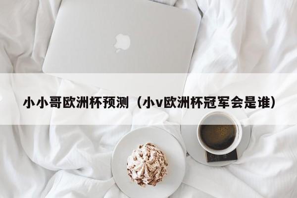 小小哥欧洲杯预测（小v欧洲杯冠军会是谁）