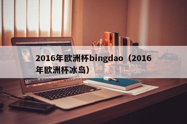 2016年欧洲杯bingdao（2016年欧洲杯冰岛）