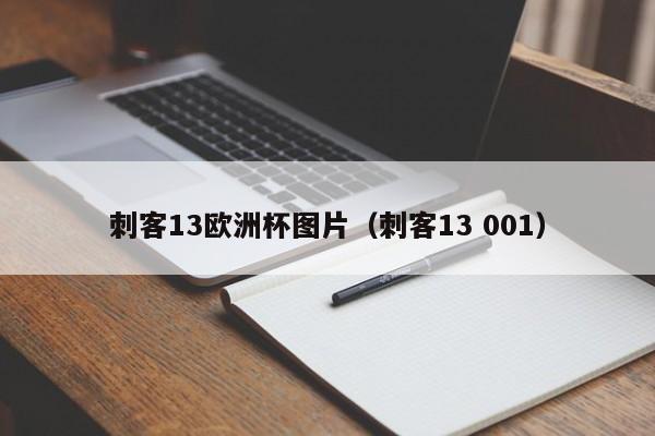 刺客13欧洲杯图片（刺客13 001）