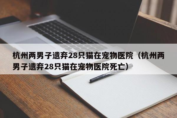 杭州两男子遗弃28只猫在宠物医院（杭州两男子遗弃28只猫在宠物医院死亡）