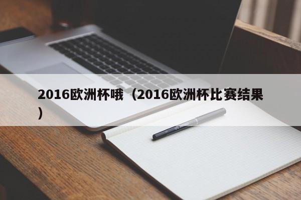 2016欧洲杯哦（2016欧洲杯比赛结果）