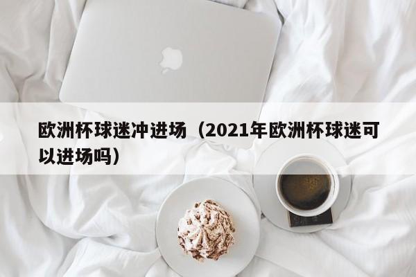 欧洲杯球迷冲进场（2021年欧洲杯球迷可以进场吗）