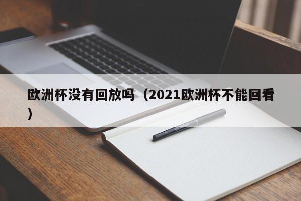 欧洲杯没有回放吗（2021欧洲杯不能回看）