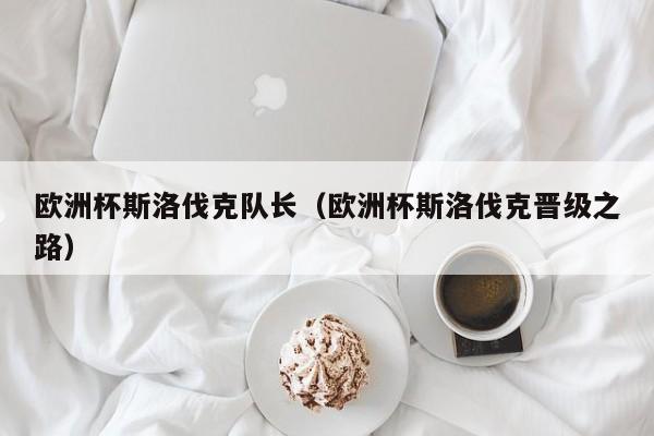 欧洲杯斯洛伐克队长（欧洲杯斯洛伐克晋级之路）