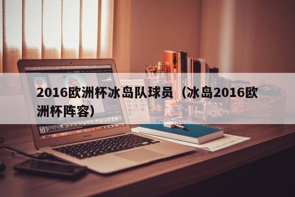 2016欧洲杯冰岛队球员（冰岛2016欧洲杯阵容）