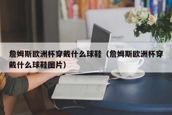 詹姆斯欧洲杯穿戴什么球鞋（詹姆斯欧洲杯穿戴什么球鞋图片）